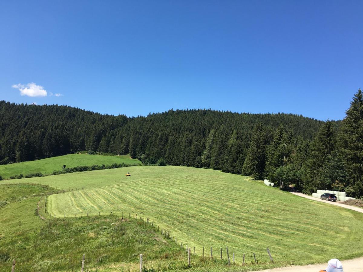 Apartamento Lindbichlhof Urlaub Am Bio Bauernhof Sankt Johann im Pongau Exterior foto