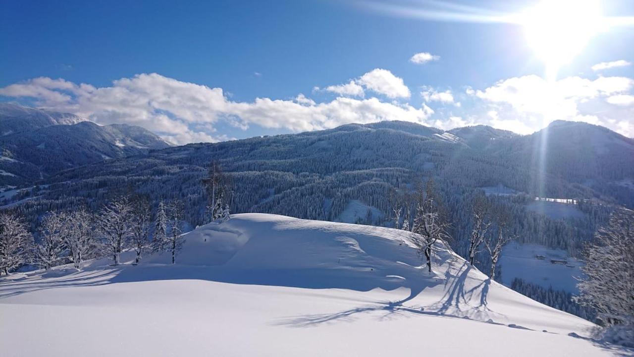 Apartamento Lindbichlhof Urlaub Am Bio Bauernhof Sankt Johann im Pongau Exterior foto