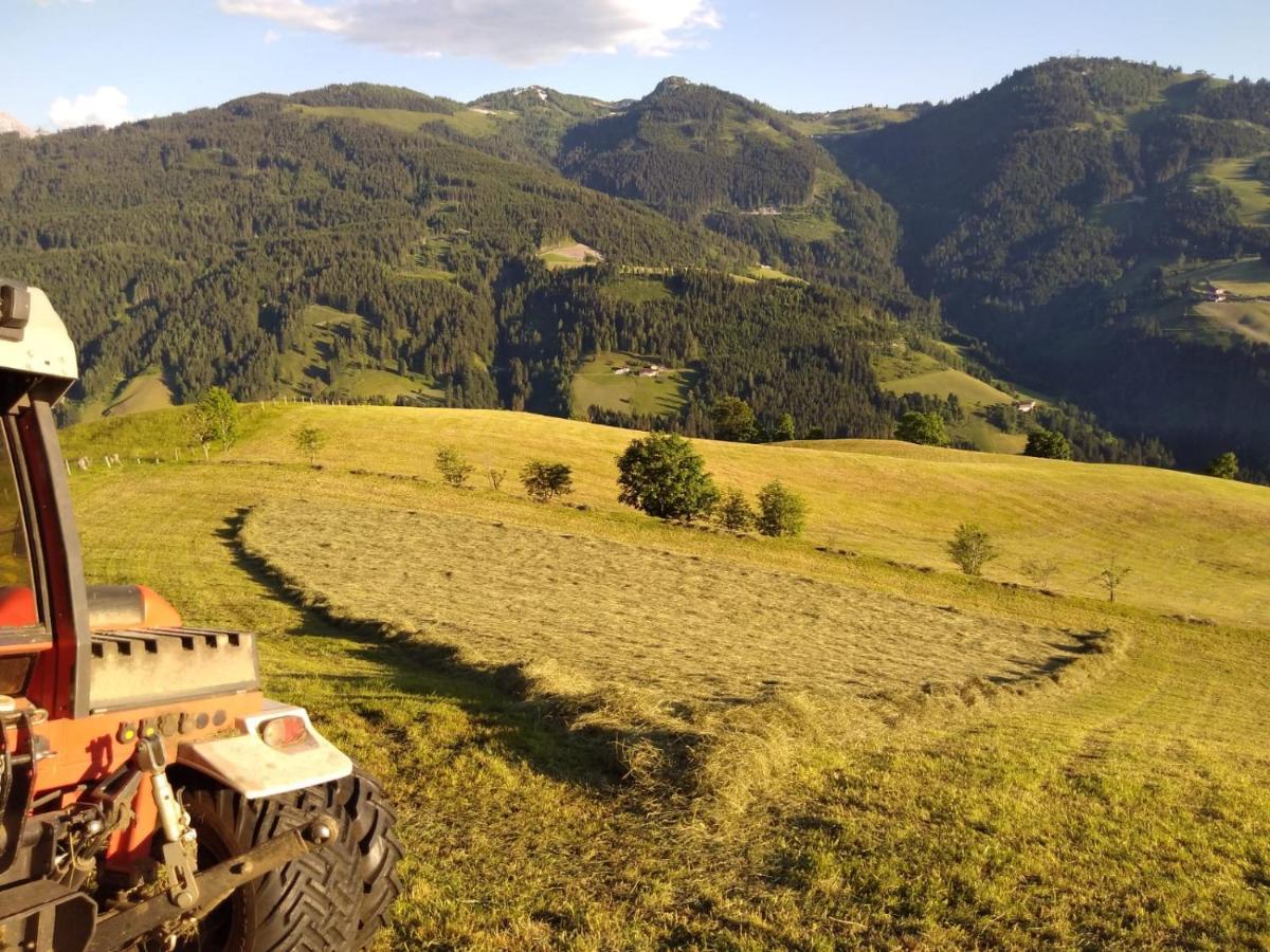 Apartamento Lindbichlhof Urlaub Am Bio Bauernhof Sankt Johann im Pongau Exterior foto
