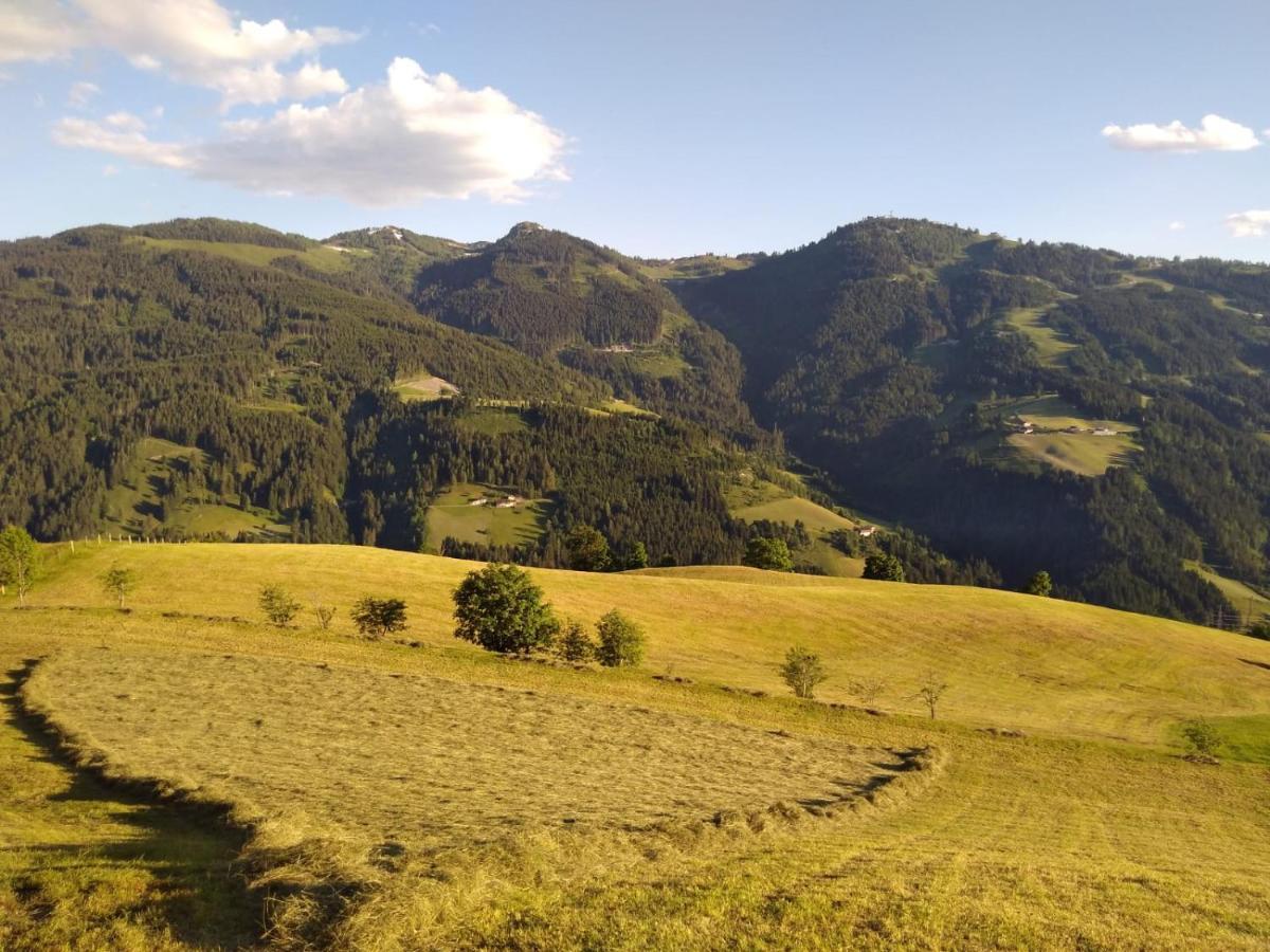 Apartamento Lindbichlhof Urlaub Am Bio Bauernhof Sankt Johann im Pongau Exterior foto