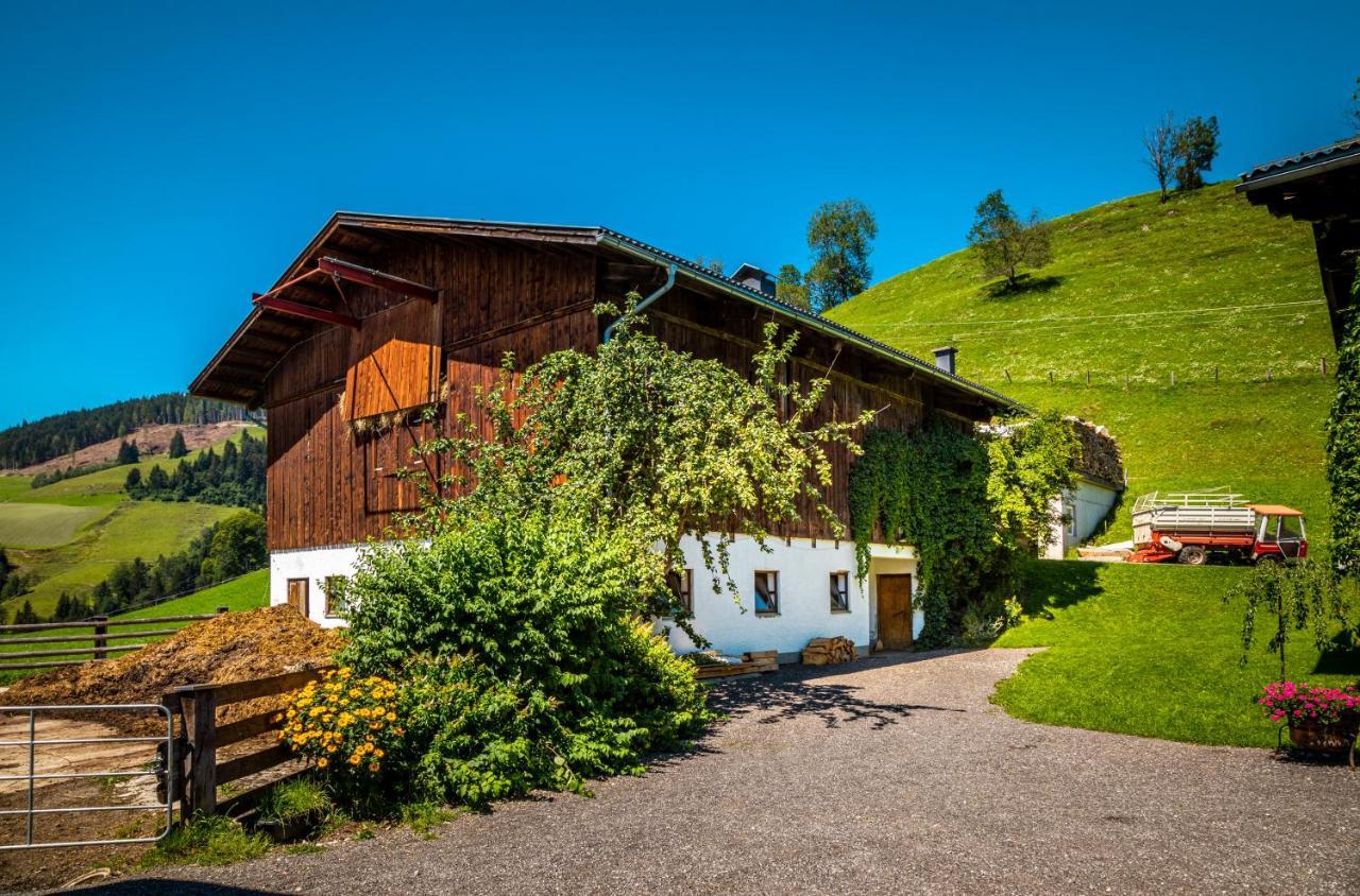 Apartamento Lindbichlhof Urlaub Am Bio Bauernhof Sankt Johann im Pongau Exterior foto