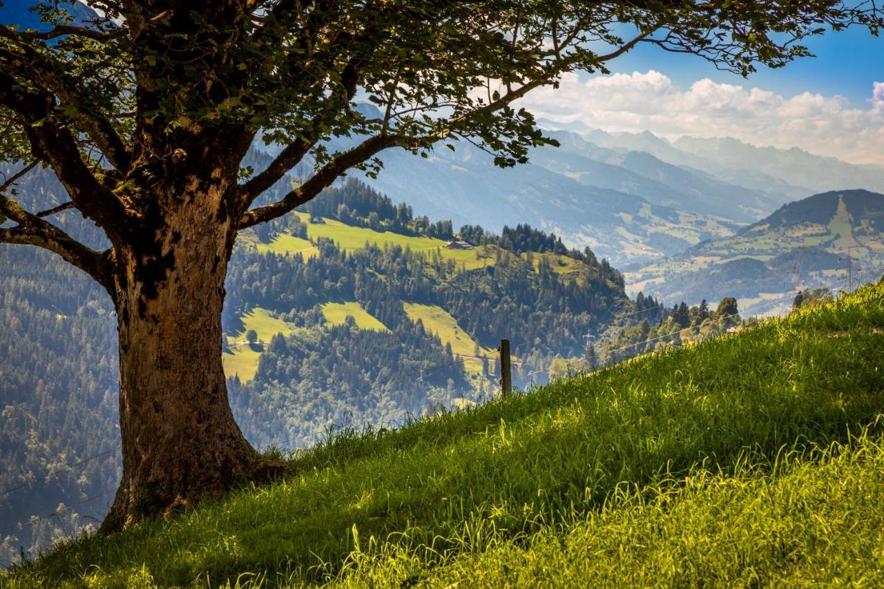 Apartamento Lindbichlhof Urlaub Am Bio Bauernhof Sankt Johann im Pongau Exterior foto